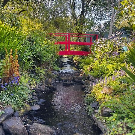 Streamside B And B With Parking Drimoleague Buitenkant foto