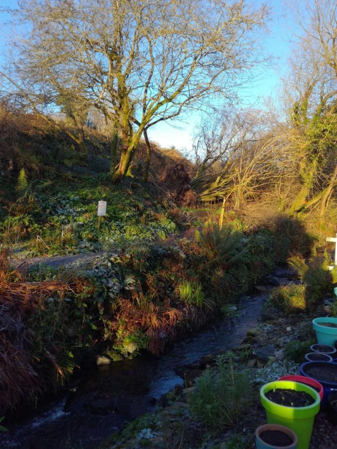 Streamside B And B With Parking Drimoleague Buitenkant foto