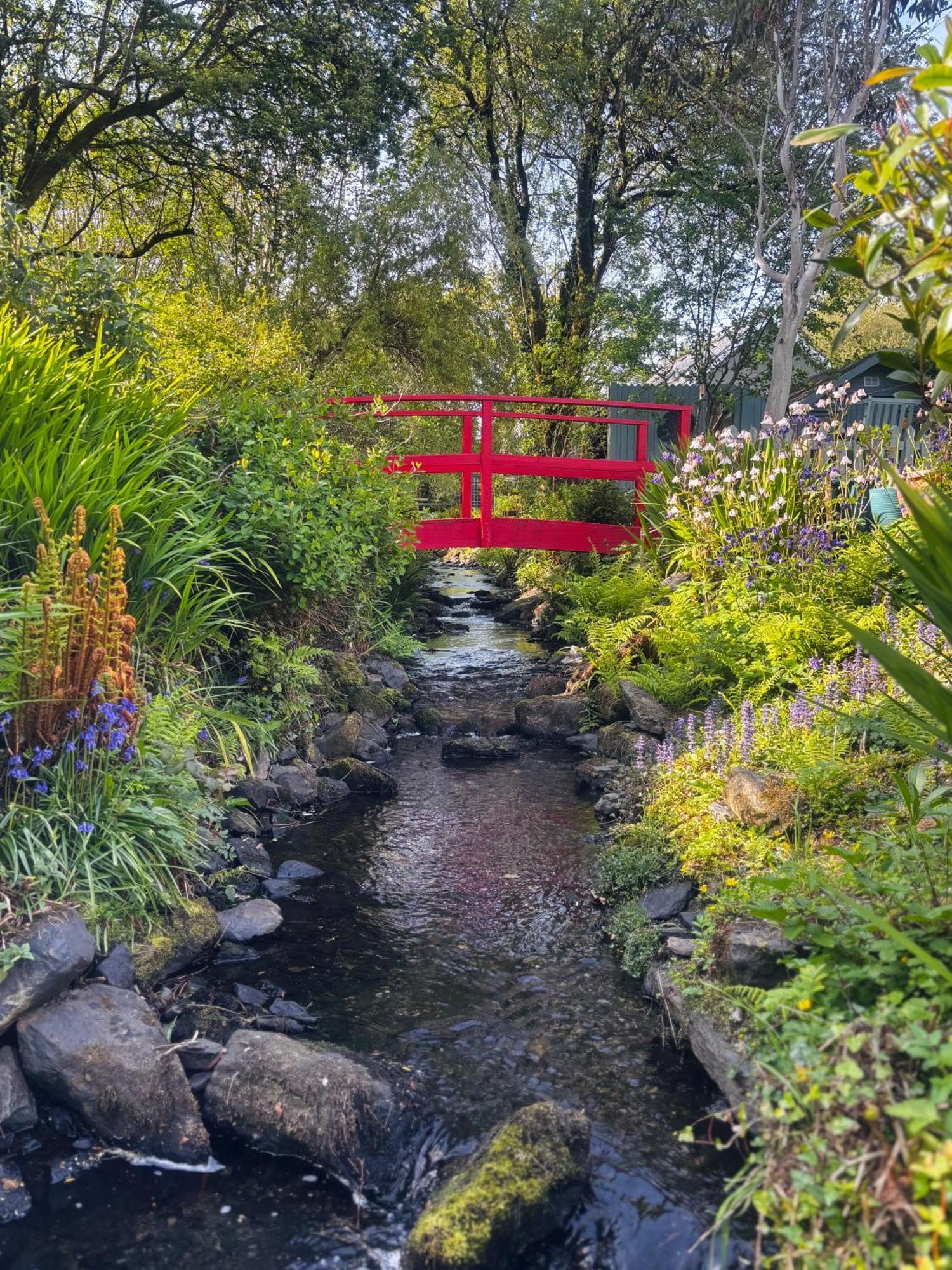 Streamside B And B With Parking Drimoleague Buitenkant foto